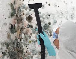 Best Attic Mold Removal  in Temple Hills, MD